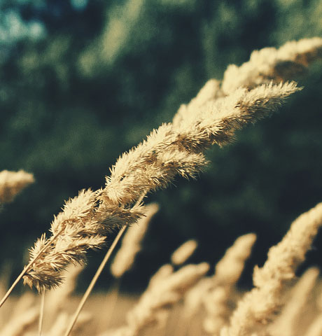 手机号轰炸在线