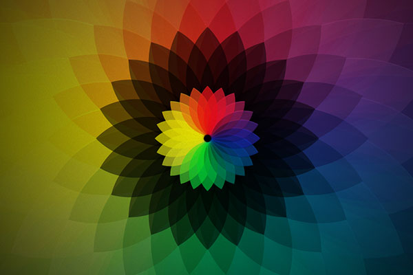 电话轰在线网页版入口